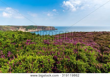 View Of Cap Frehel Area In Brittany