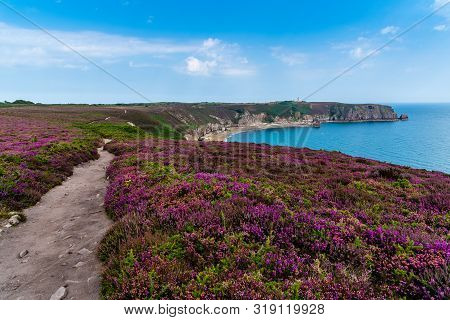View Of Cap Frehel Area In Brittany