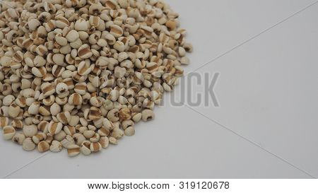 Job's Tears, Also Known As Adlay And Coix On White Background. Popular In Asian Cultures As A Food S