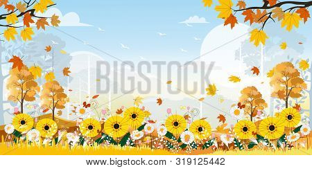Cute Cartoon Panorama Landscape Of Sunflower Field And Butterfly Flying With Blue Sky Background, Il