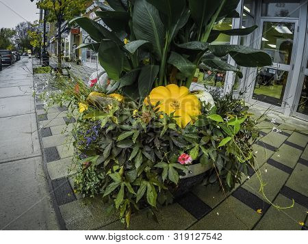 The Storefront Is Hidden By This Beautiful Autumn Decoration. The Weather Was Slightly Dark. It Had 