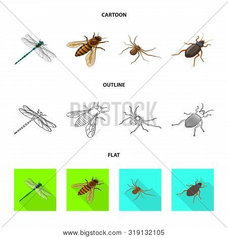 Vector Illustration Of Nature And Wildlife Icon. Set Of Nature And Wing Stock Vector Illustration.
