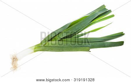 Fresh Green Leek Vegetabe Isolated On White Background