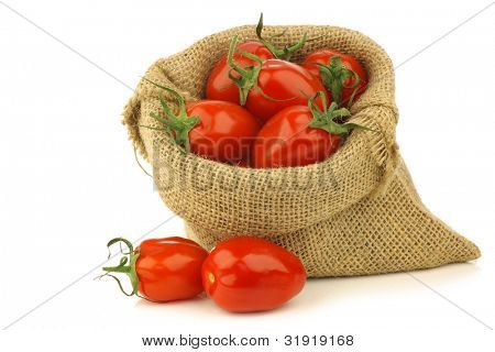frische italienische Pomodori Tomaten im Sack Sackleinen auf weißem Hintergrund