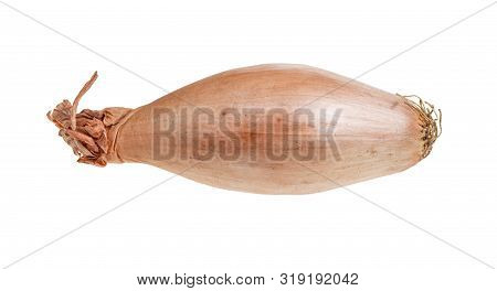 Ripe Bulb Of Shallot Onion Isolated On White Background