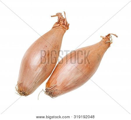 Two Bulbs Of Shallot Onion Isolated On White Background