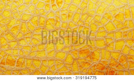 The Peel Of A Ripe Yellow Melon With Texture Tracks, Full Screen. Melon Variety Torpedo