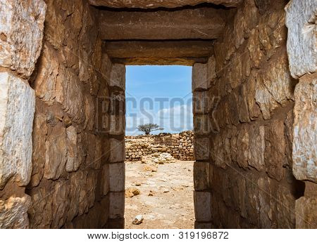 Castle Of Sumhuram, Salalah, Dhofar, Sultanate Of Oman. View Of An Old Tree Between Rock Of The Arch