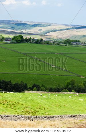 Pennines, Northumberland, England
