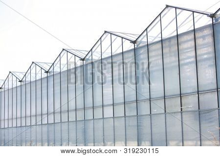 Phoro of Greenhouse against sky