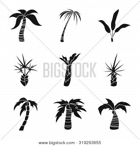 Vector Design Of Travel And Ecology Sign. Set Of Travel And Beach Vector Icon For Stock.