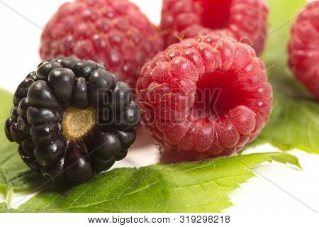 Fresh Ripe Raspberries And Black Berry On Leaf