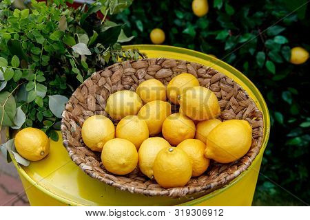 Lemons In A Basket, Green Floral Background.