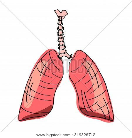 Abstract Image Of A Human Lungs In The Form Of A Starry Sky Or Space, Consisting Of Points, Lines, A