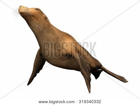 3D Rendering Harbor Seal On White