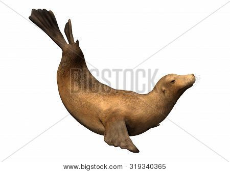 3D Rendering Harbor Seal On White