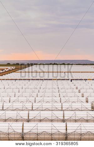 Logrosan, Extremadura, Spain - March 23, 2019: View Of The Concentrators And Solar Panels Of The Sol