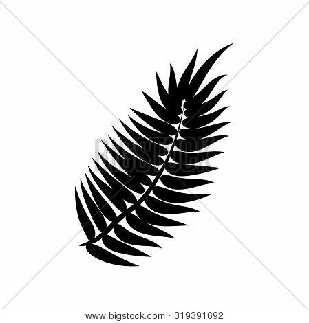 Dypsis For Decorative Design. Isolated Sign Symbol. Isolated Vector Illustration. Summer Tropical Le