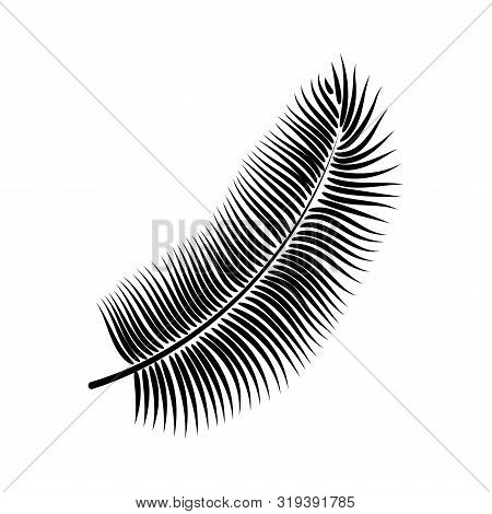 Dypsis For Decorative Design. Isolated Sign Symbol. Isolated Vector Illustration. Summer Tropical Le