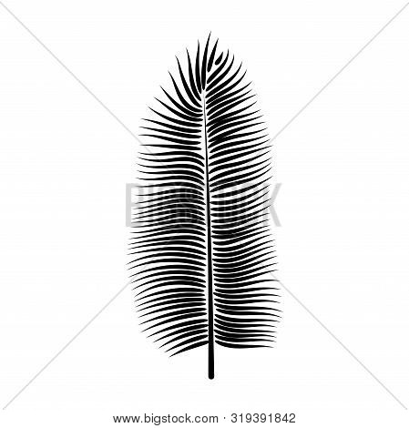 Dypsis For Decorative Design. Isolated Sign Symbol. Isolated Vector Illustration. Summer Tropical Le