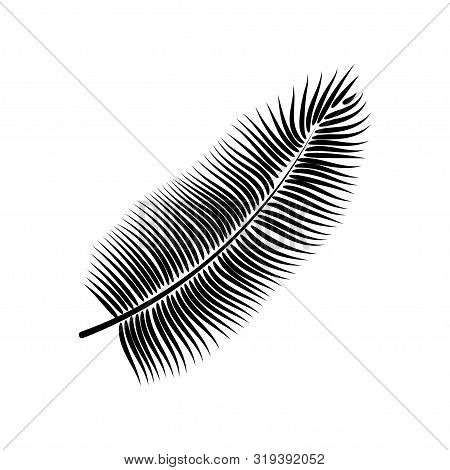 Dypsis For Decorative Design. Isolated Sign Symbol. Isolated Vector Illustration. Summer Tropical Le