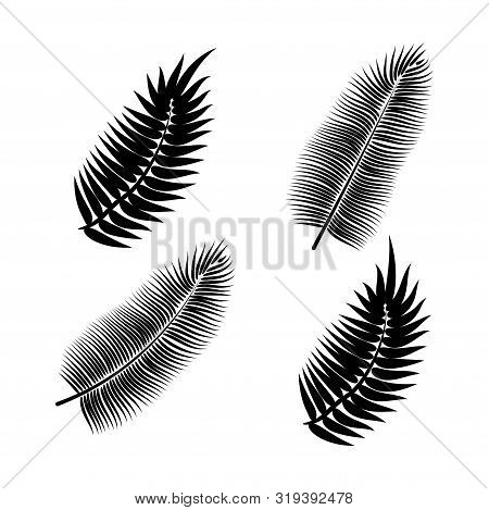 Dypsis For Decorative Design. Isolated Sign Symbol. Isolated Vector Illustration. Summer Tropical Le