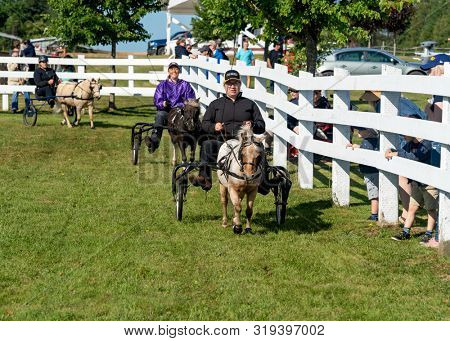 Dundas, Prince Edward Island / Canada - August, 25, 2019 Competitors circling the ring at the minature horse competition at the PEI Plowing Match and Agricultural Fair
