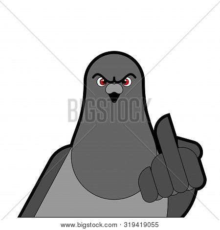 Pigeon Shows Fuck. Angry Dove. Aggressive City Bird. Vector Illustration
