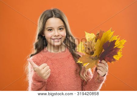 Any Weather Is Good. Thumb Up. Fall Season. Fallen Leaves. Girl Child In Sweater. Autumn Mood. Happy