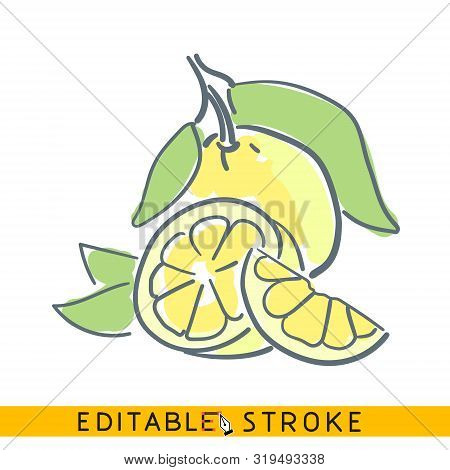 Cutted Lemon With Leaves, Icon. Line Doodle Sketch. Editable Stroke Icon.