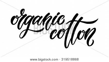 Organic Cotton. Minimalistic Brush Hand Lettering Design. Isolated Black And White Script Text For F