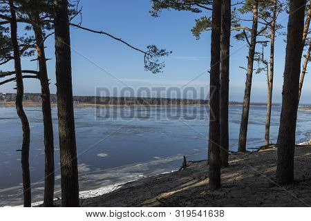 Panoramic View Of The Baltic Dunes, Balta Kapa - Lielupe - Jurmala.