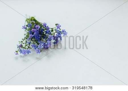 A Small Cute Bouquet Of Blue Forget-me-nots Lies On A White Table. Selective Focus. There Is Room Fo