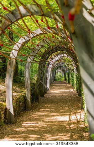 Plant Tunnel in the gardens of the Jardins de Marqueyssac in the Dordogne region of France
