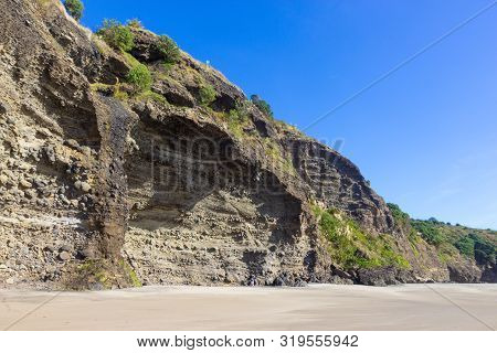 View Of Sunny Piha Beach, New Zealand