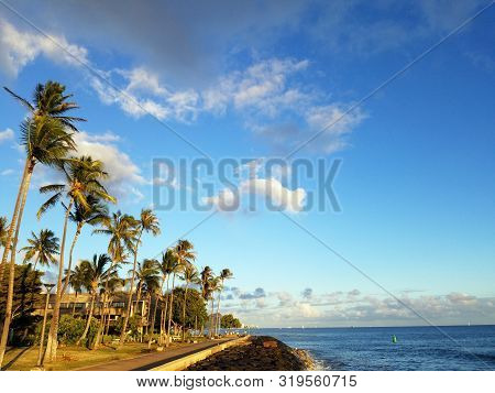Coconut Trees Hang Over Path Along Rock Seawall At Kaka`ako Waterfront Park With Waikiki In The Dist