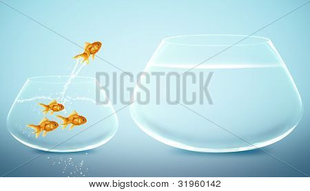 Goldfish saltando al tazón de fuente grande