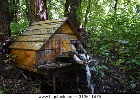 Spring Water Source Located In The Wild Forest.