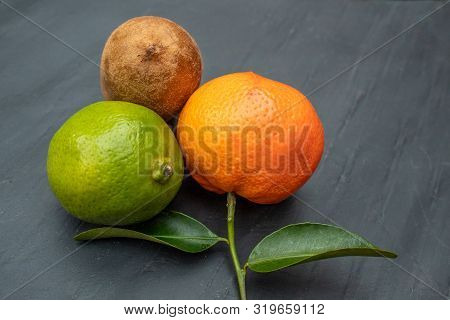 Lime, Kiwi And Mandarin Fruit With Leaves