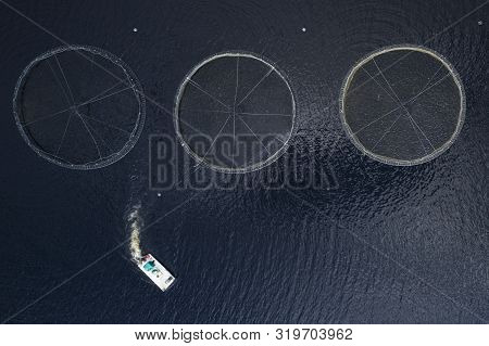 Fish Farm Salmon Sea Nets Farming At Sea Loch Tay Scotland Uk