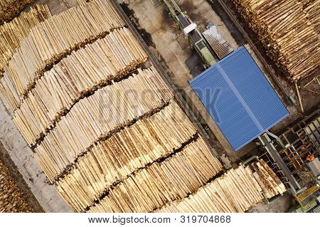 Sawmill Aerial View Chopped Tree Wood Logs Stacks In A Row With Machinery