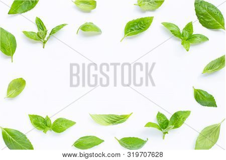 Frane Made Of Basil Leaves On White Background.