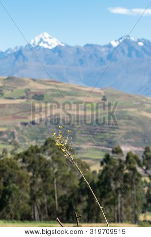 Sacred Valley, Peru - 05/21/2019: The Inescapable Snow Peaked Andes Mountains In The Sacred Valley O