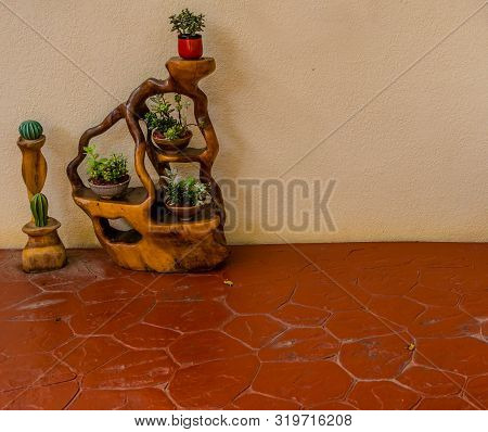 Sejong, South Korea; August 8, 2019: Collection Of Potted Plants Displayed On Stylized Wooden Shelve