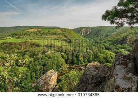 Nice View To Valley With River Dyje, Rock And Tree, National Park Podyji, Czech Republic