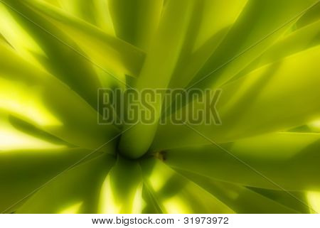 Fundo verde deixar