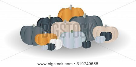 Pumpkins Are Different Colors. Fancy Vegetables. Autumn Harvest..