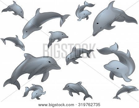 Hand Drawn Illustration Pattern Of Vector Swimming Dophins Isolated On White Background