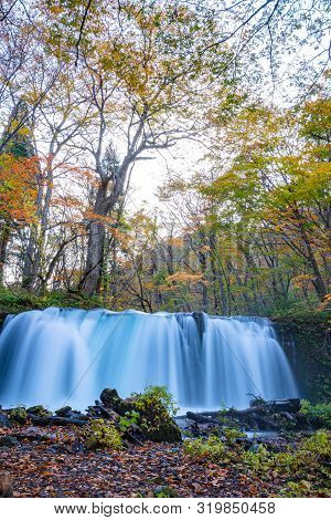 Choshi Otaki Falls ( Oirase Stream ) In Sunny Day, Beautiful Fall Foliage Scene Autumn Colors. Fores