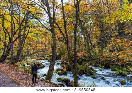 Oirase Stream, Beautiful Fall Foliage Scene Autumn Colors. Famous And Popular Destinations. Flowing 